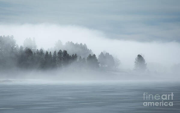 Cascade Reservoir Poster featuring the photograph Misty Shores by Idaho Scenic Images Linda Lantzy