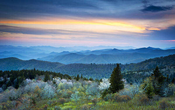 Blue Ridge Mountains Poster featuring the photograph NC Blue Ridge Parkway Landscape in Spring - Blue Hour Blossoms by Dave Allen