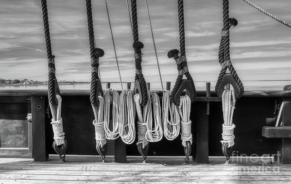 Learn The Ropes Poster featuring the photograph Learn The Ropes Black and White by Mel Steinhauer