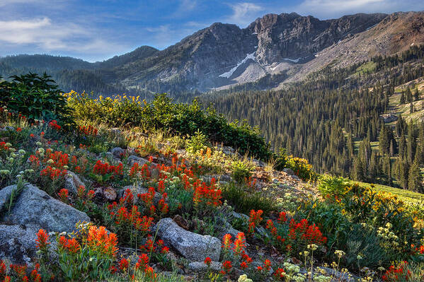 Wasatch Poster featuring the photograph Wasatch Mountains of Utah #8 by Douglas Pulsipher