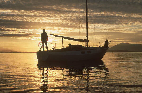 Boats Poster featuring the photograph Anchored by Mark Alan Perry