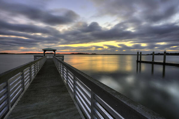 Charleston Poster featuring the photograph Arctic Blast - Charleston SC by Douglas Berry