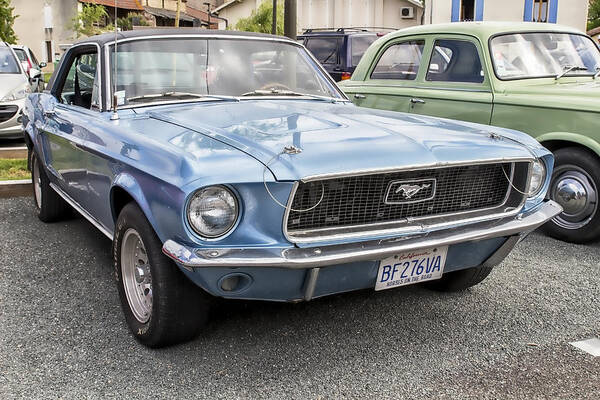 Blue Mustang Poster featuring the photograph Blue Mustang by Georgia Clare