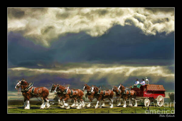 Budweiser Clydesdales Poster featuring the photograph Budweiser Clydesdales Paint 1 by Blake Richards