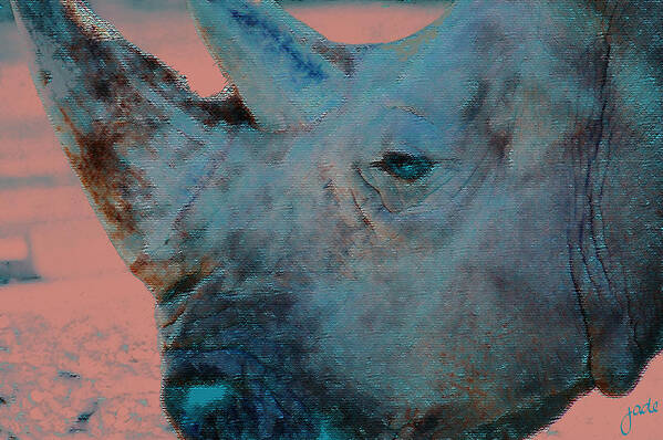 Rhinoceros Poster featuring the photograph Dusk by Jade Knights