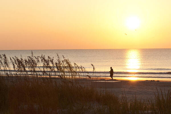 Beach Poster featuring the photograph Early Morning Walk by Ayesha Lakes