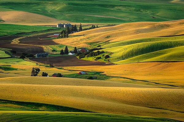 The Palouse Poster featuring the photograph Farm Life by Gene Garnace