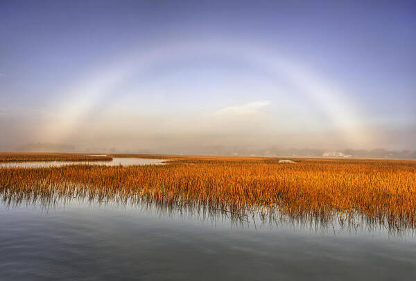 Fog Poster featuring the photograph Fog Bow - Shem Creek SC by Douglas Berry