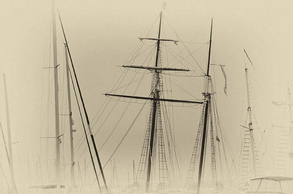 Tall Poster featuring the photograph Tall Ships by Thomas Hall
