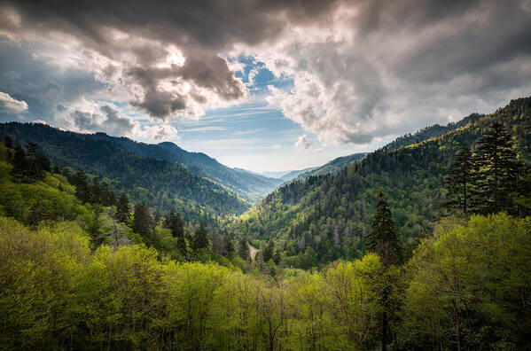 Great Smoky Mountains Poster featuring the photograph Great Smoky Mountains Landscape Photography - Spring at Mortons Overlook by Dave Allen