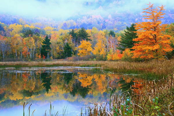 Misty Poster featuring the photograph Misty Autumn Pond by Roupen Baker