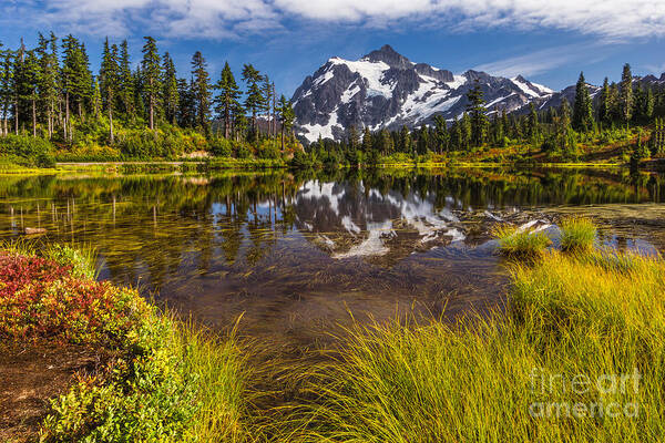 Picture Lake Poster featuring the photograph Picture Perfect Day by Gene Garnace