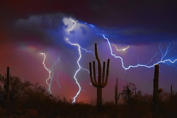 Saguaro Poster featuring the photograph Saguaro Lightning Nature Fine Art Photograph by James BO Insogna