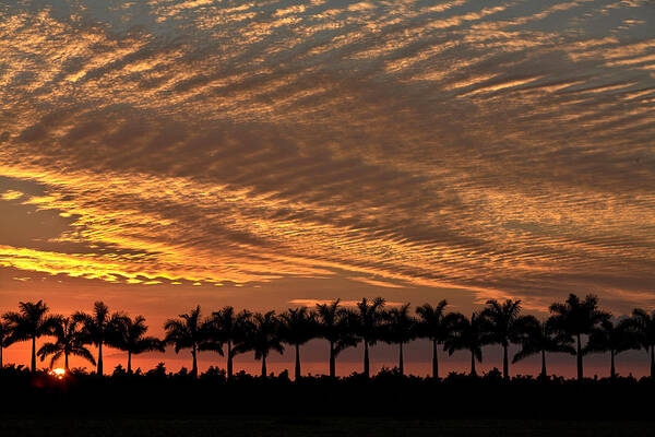 Florida Poster featuring the photograph Sunset Florida by Matthew Pace