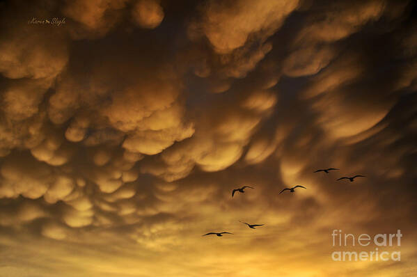 Clouds Poster featuring the photograph The Storm Cometh by Karen Slagle