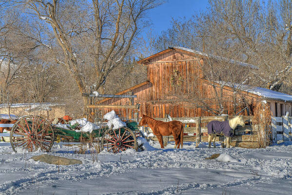 Barns Poster featuring the photograph Wagons and Horses by Donna Kennedy