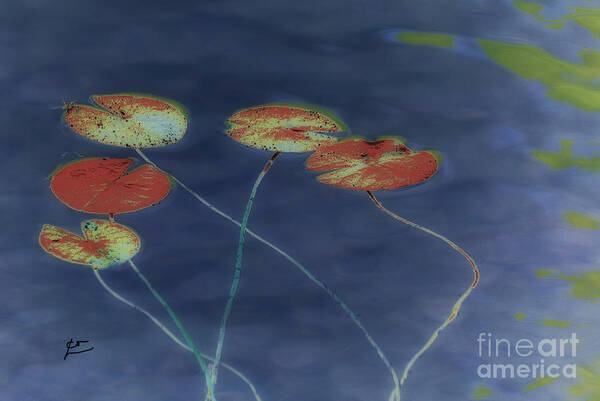 Water Lilies Poster featuring the digital art Water Lilies 2 by Leo Symon