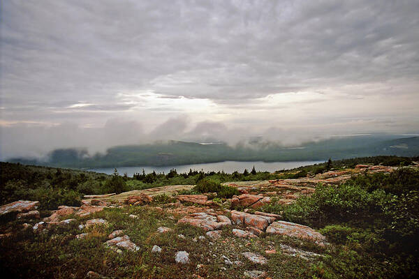 Cadillac Mountain Poster featuring the photograph A Cloudy Mist by Joann Vitali