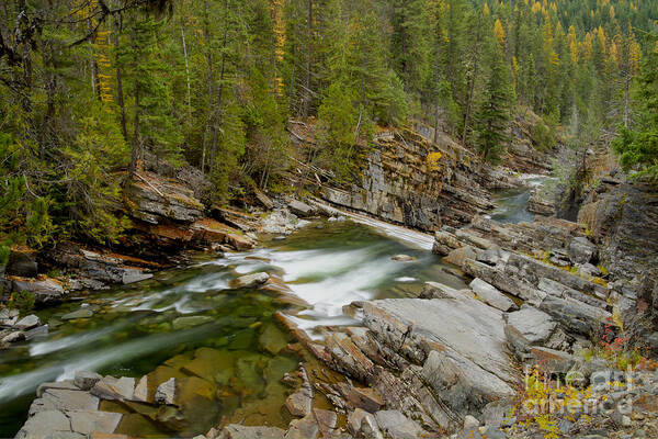 October Poster featuring the photograph Autumn on the Yaak by Idaho Scenic Images Linda Lantzy