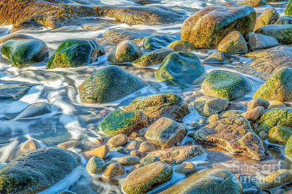 Acadia National Park Poster featuring the photograph Boulder Tide by Susan Cole Kelly