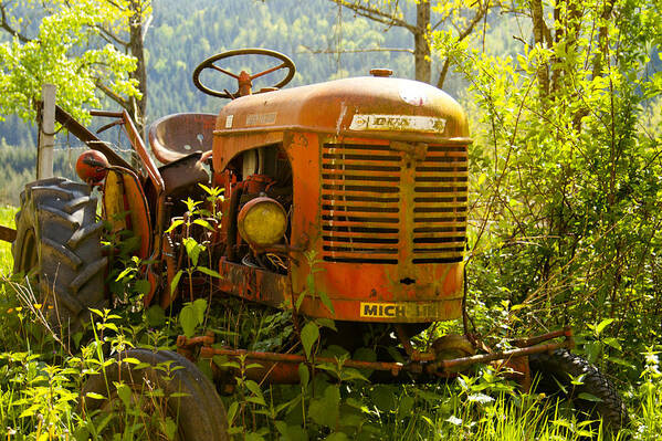 Tractor Poster featuring the photograph Massey Ferguson Tractor by Georgia Clare