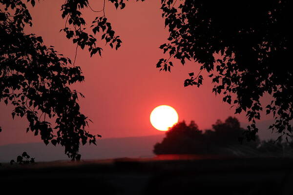 Sunset Poster featuring the photograph Oregon Sunset by Jo Sheehan