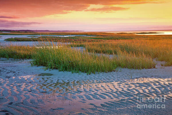 Barnstable County Poster featuring the photograph Sand Ripples by Susan Cole Kelly