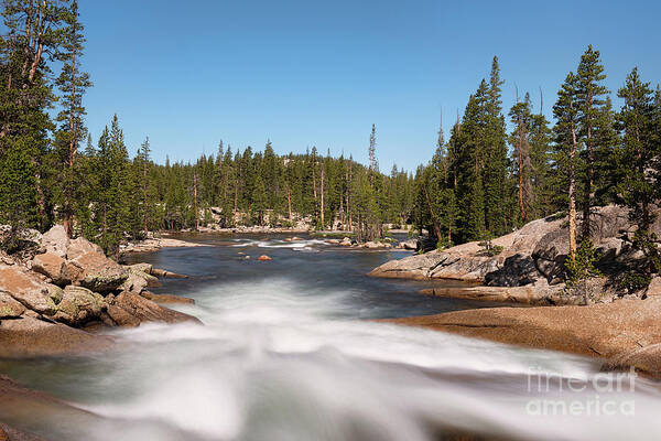 Tuolumne River Poster featuring the photograph Tuolumne River by Sharon Seaward