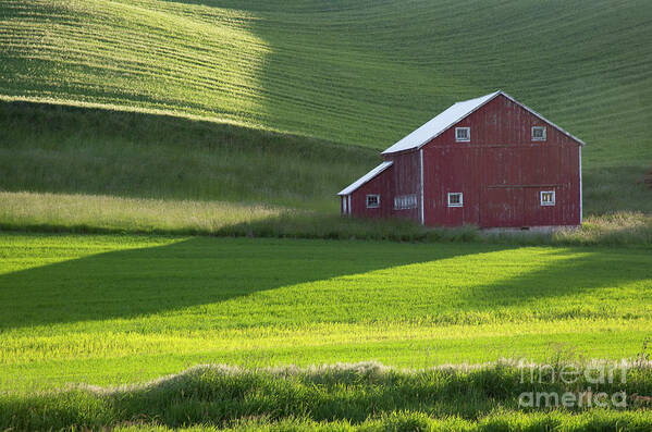 Eastern Washington Poster featuring the photograph Palouse Barn #2 by Idaho Scenic Images Linda Lantzy