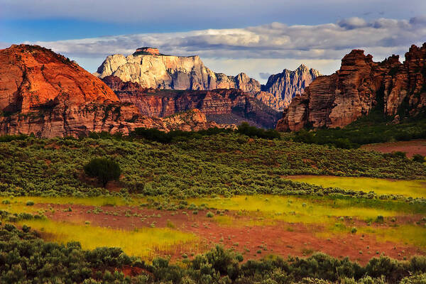 Zion National Park Poster featuring the photograph Zion National Park Utah #5 by Douglas Pulsipher