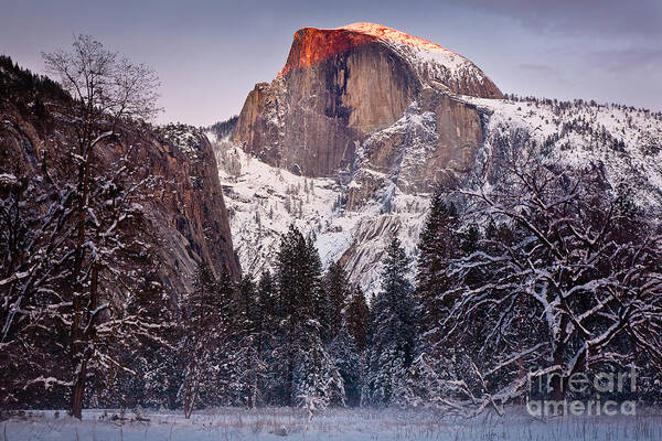 California Poster featuring the photograph Alpenglow on Half Dome by Susan Cole Kelly