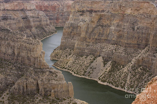 Canyon Poster featuring the photograph Bighorn Canyon by Idaho Scenic Images Linda Lantzy