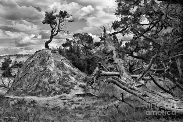 Biscuit Basin Poster featuring the photograph Biscuit Basin Yellowstone by Blake Richards