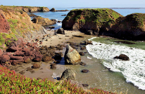 California Poster featuring the photograph California Coast Rocks Cliffs Iceplant by Dan Carmichael