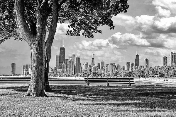 Chicago Poster featuring the photograph Chicago North Skyline Park Black and White by Christopher Arndt
