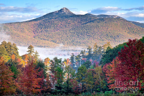 Autumn Poster featuring the photograph Chocorua Fall by Susan Cole Kelly