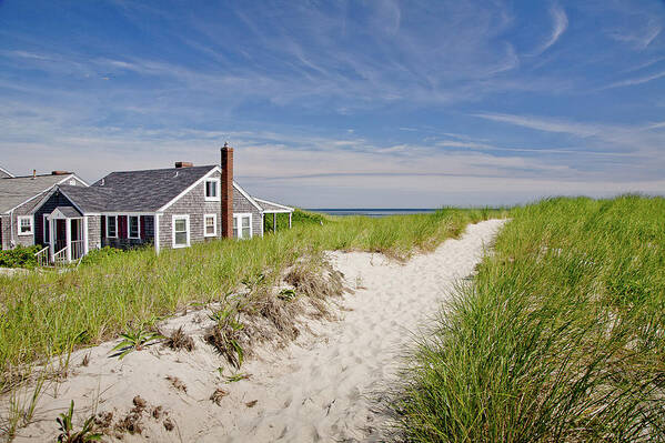 America Poster featuring the photograph East Sandwich Cottage by Susan Cole Kelly