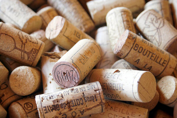 Wine Corks Poster featuring the photograph French Wine Corks by Georgia Fowler