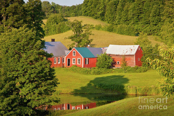 Agriculture Poster featuring the photograph Jenne Farm Reflection by Susan Cole Kelly