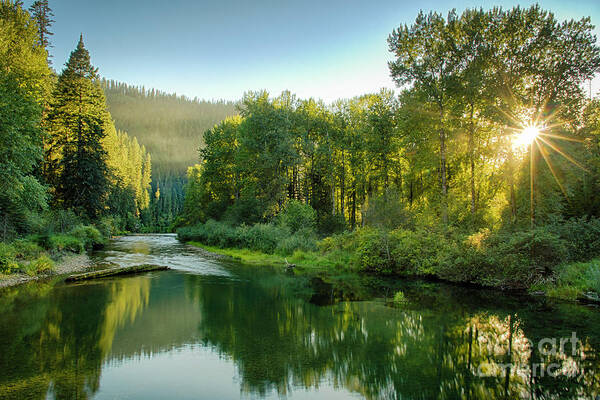  Poster featuring the photograph Little North Fork Sun by Idaho Scenic Images Linda Lantzy