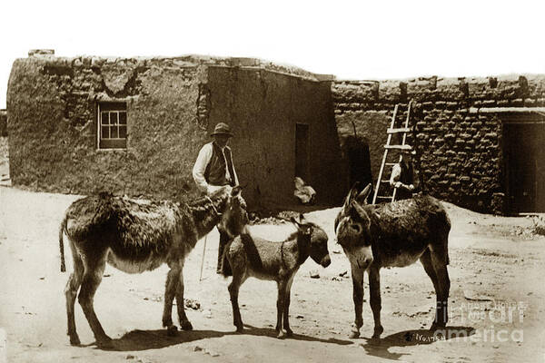 No. 1754 Poster featuring the photograph Adobe Houses and Burros No. 1754. Circa 1885 by Monterey County Historical Society