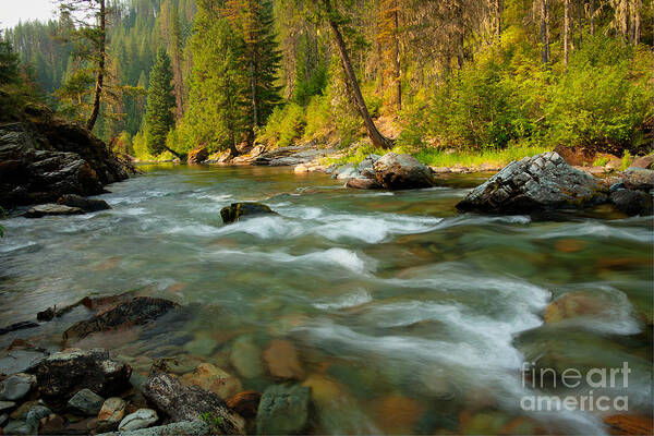 River Poster featuring the photograph North Fork of the St. Joe by Idaho Scenic Images Linda Lantzy