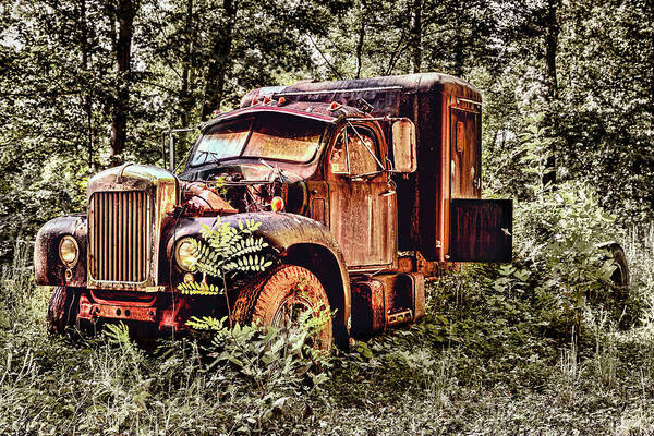 South Carolina Poster featuring the photograph Old Rusty Truck in the Woods - Jocassee by Dan Carmichael