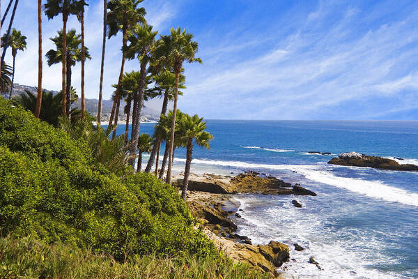 Scenery Poster featuring the photograph Palms and Seashore Laguna Beach California Coast by Douglas Pulsipher