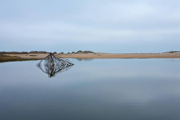 Outer Banks Poster featuring the photograph Peaceful Tidepool on the Outer Banks by Dan Carmichael