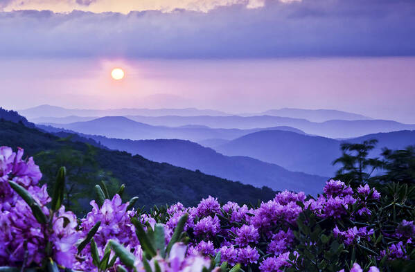 Roan Mountain Poster featuring the photograph Roan Mountain Sunset by Rob Travis