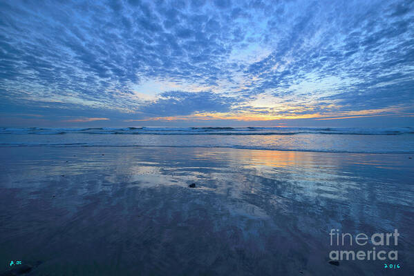 Cardiff By The Sea Poster featuring the photograph Blue Heaven by John F Tsumas