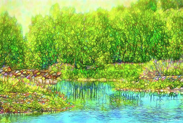 Joelbrucewallach Poster featuring the digital art Sparkling Reflection Pond - Lake In Boulder County Colorado by Joel Bruce Wallach