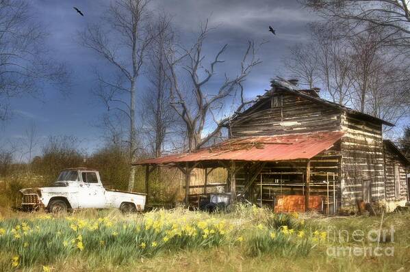 Tobacco Barn Poster featuring the photograph Spring Tobacco Barn by Benanne Stiens