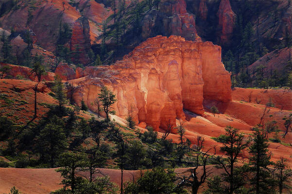 Bryce Canyon Poster featuring the photograph Sunrise at Bryce Canyon by Donna Kennedy